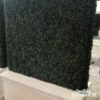 boxwood wall backdrop