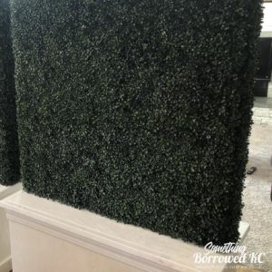 boxwood wall backdrop