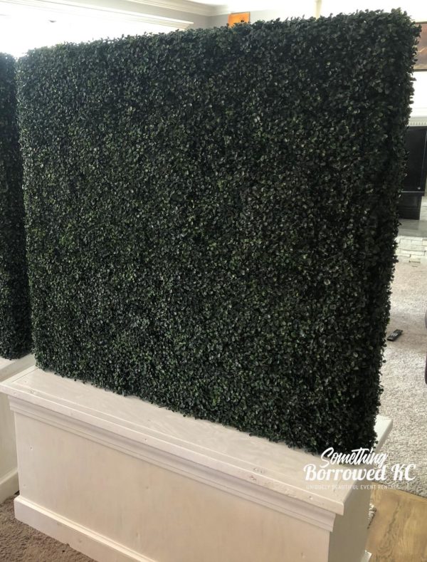 boxwood wall backdrop