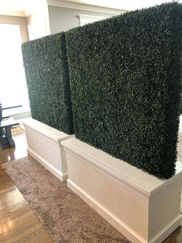 boxwood backdrop wall