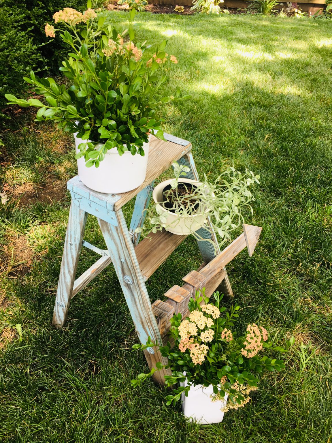 アンティーク雑貨 ladder アンティーク雑貨 ladder Library Step Ladder｜ライブラリー ステップ