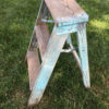 primitive step ladder