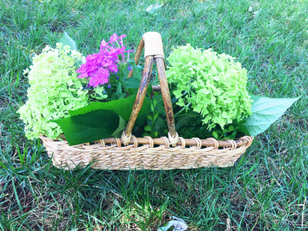 garden basket