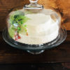 cake stand for rent