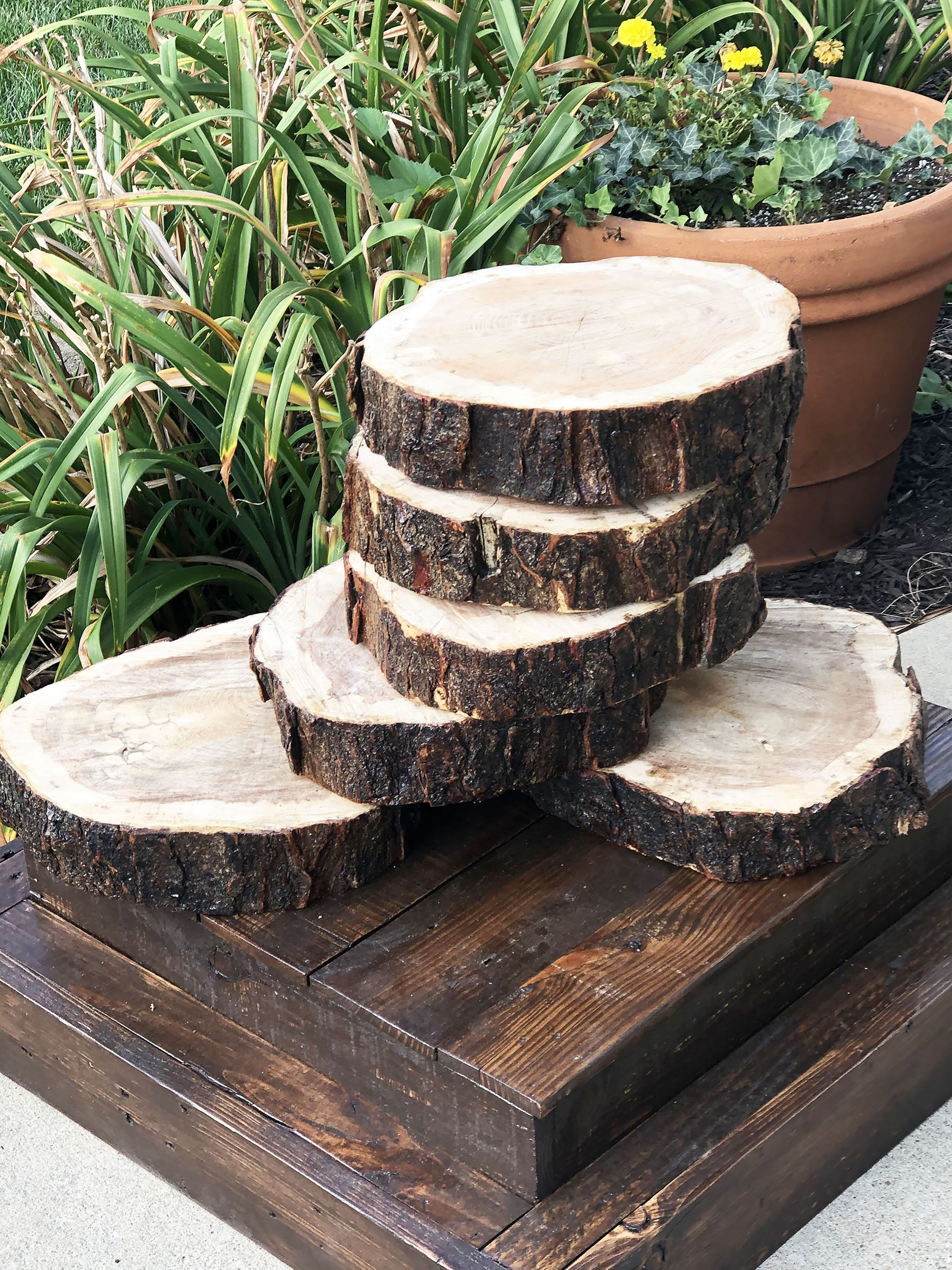 18 Dia, Extra Large Rustic Natural Wood Slices