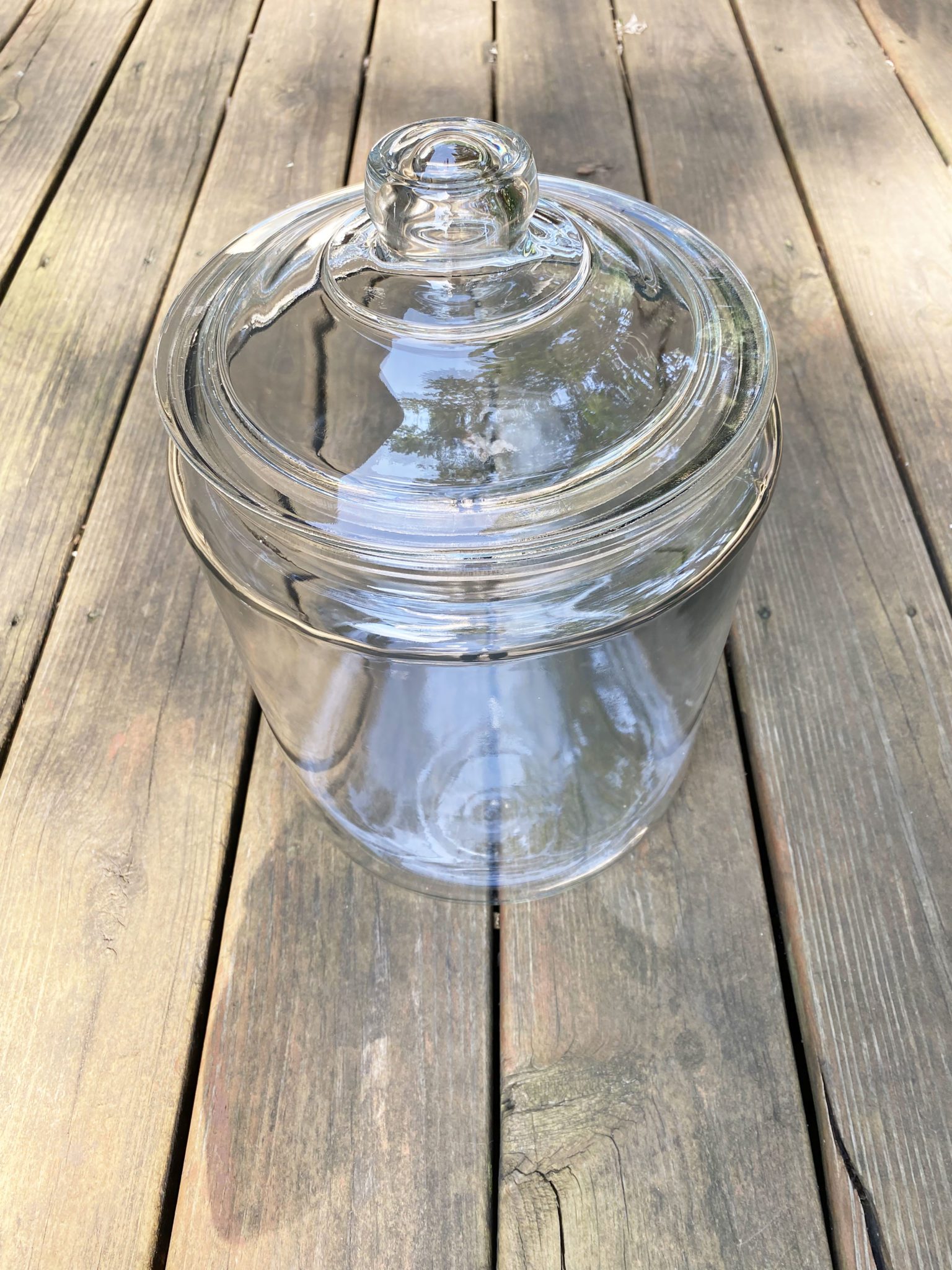 Large Glass Cookie Jars7 Something Borrowed KC