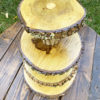 layered wood slice
